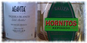 agavitaandsauza-small