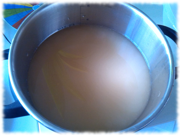 tepache-afterfiltering