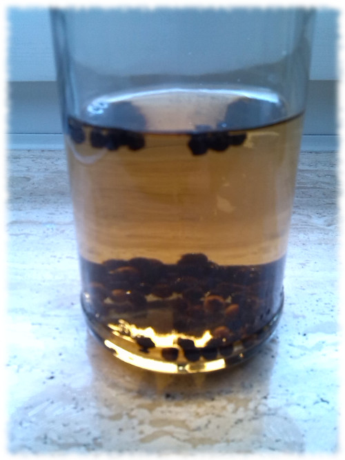 schwarzpfeffervodka-2h