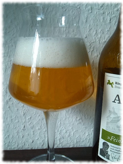 riegeleamaris50-glas