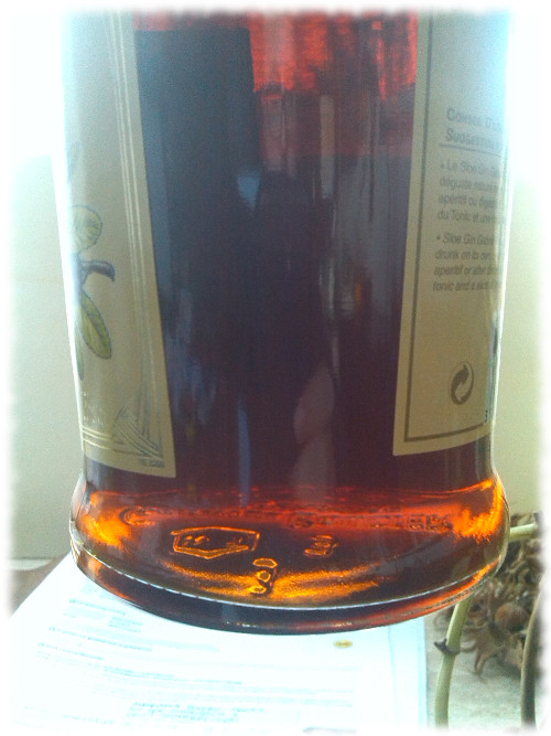 Gabriel Boudier Sloe Gin Farbe