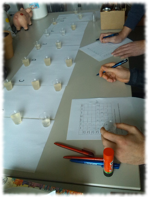 Blindverkostung im Gange