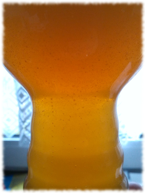 Maisel & Friends Stefan's Indian Ale Glas Schwebeteilchen