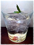 Gin & Tonic