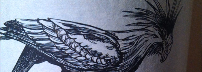 Vier Vogel Pils Titel