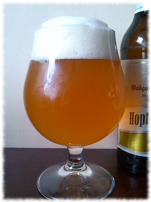 Wadgasser Klosterbräu Hopfen Perle Glas