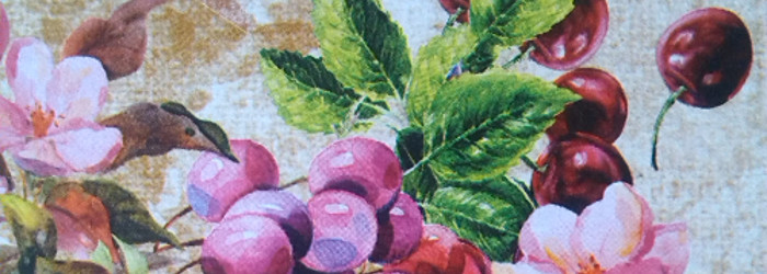 Bonpland Bitters Pinot Noir Stevnsbaer Cherry Titel