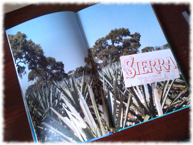 Tequila - Kultur & Genuss Innenseite 1