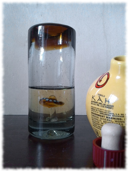 Kah Tequila Reposado Glas