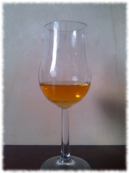 Amrut Fusion Single Malt Whisky Glas