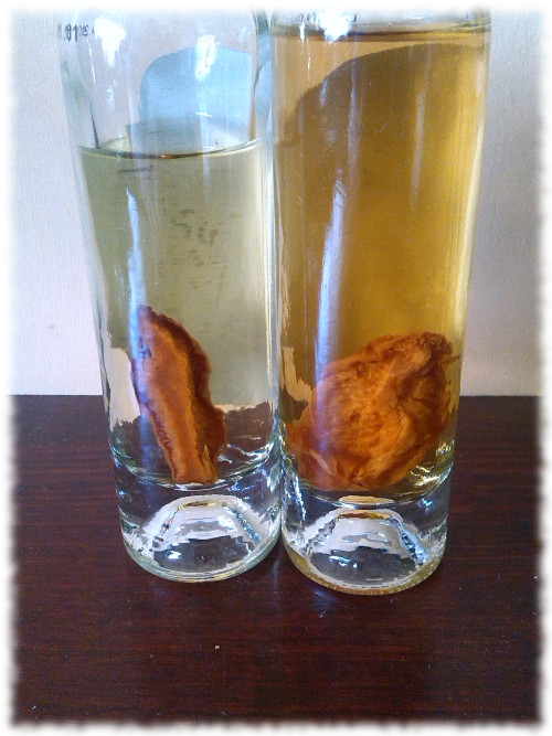 Bolyhos Pálinka mit Fruchtstücken