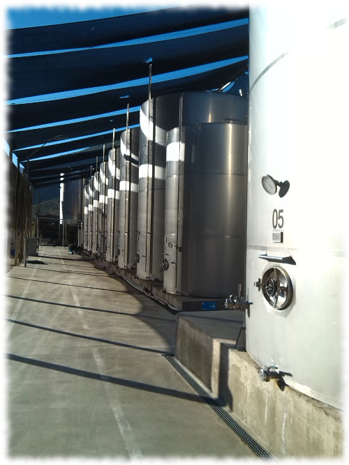 Pisco Bauzá Besuch der Destillerie 03