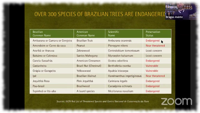 Brasilianische Holzarten und ihre Gefährdung