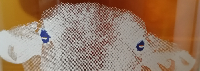 Boilerrum Bionaturally Designed Brown Rum Titel