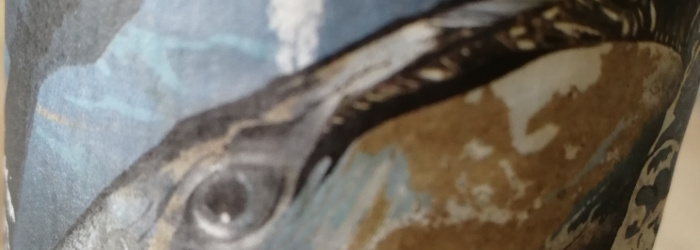 Rügener Insel-Brauerei Baltic Gose Titel