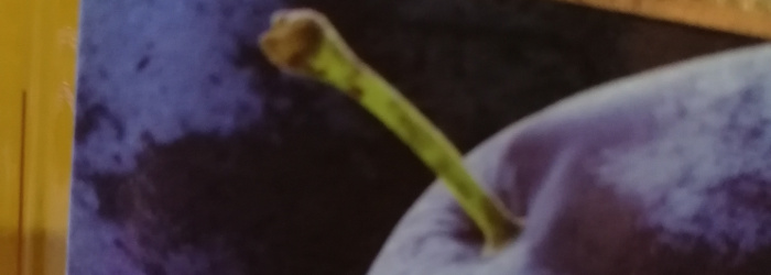 Scheibel Premium Altes Pflümle Titel