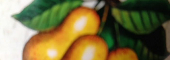 Weber Williams Christ Birnenbrand Titel