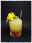 Pócima N°9 Cocktail