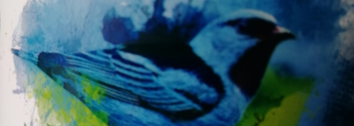 Princesa Isabel Cachaça Armazenada em Jaqueira Titel