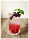 Blueberry Mint Gin Cocktail