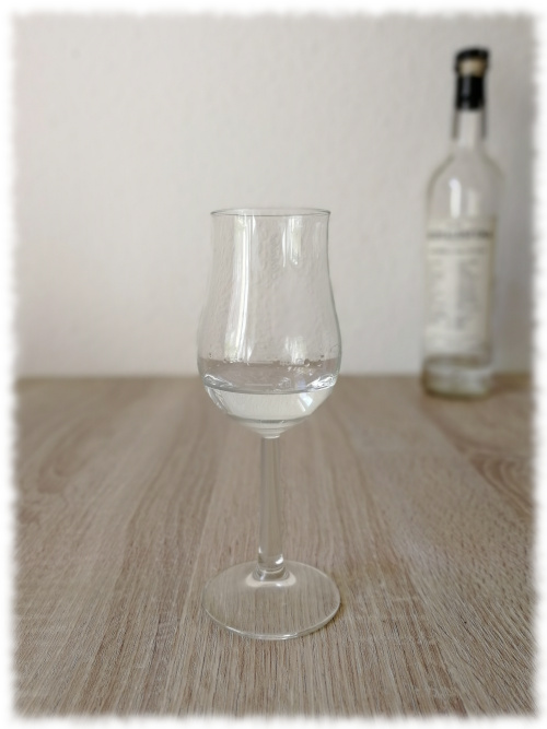 Mezcalosfera Espadín Destilado con Mango y Chile Habanero by Mezcaloteca Glas