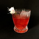 Por do Sol Negroni Cocktail