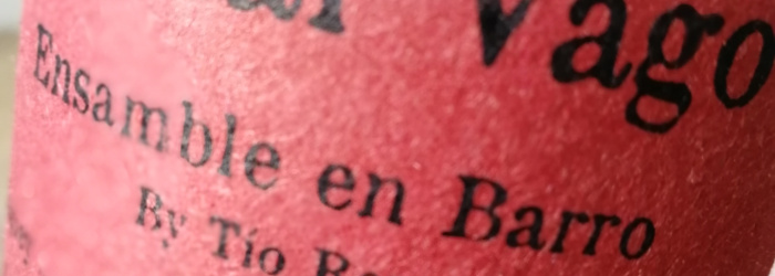 Mezcal Vago Ensamble en Barro by Tío Rey Titel