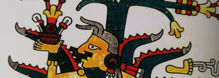 Meine Agavenbrände Titel