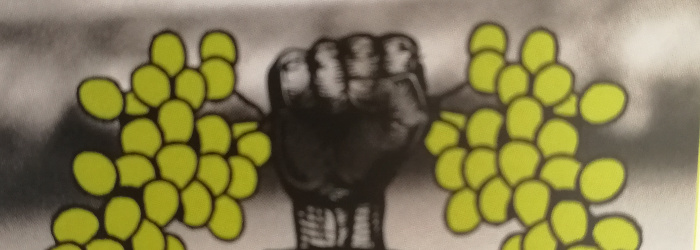 Meine Wein-, Obst- und Tresterbrände Titel