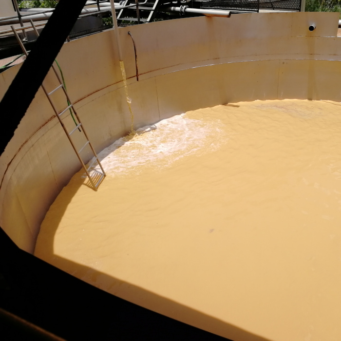 Distillerie Reimonenq Eindrücke 2