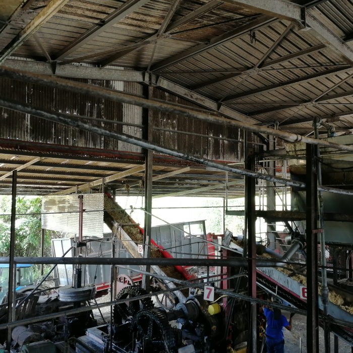 Distillerie Reimonenq Eindrücke 3