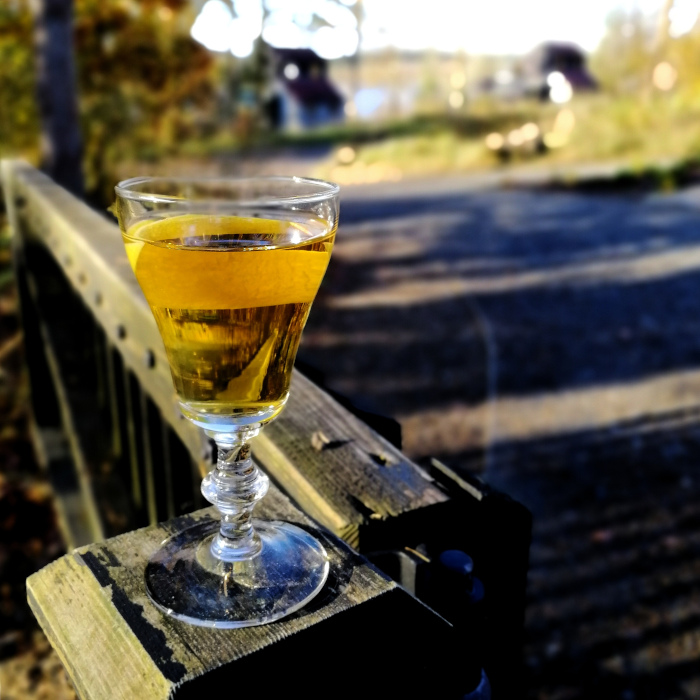 Hot Toddy (Robin Redbreast Day 2022)