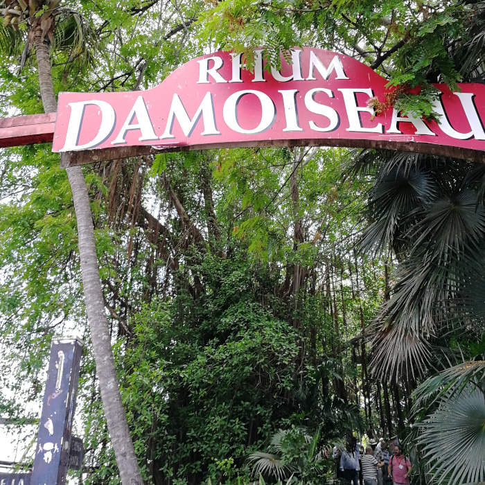 Damoiseau Destilleriebesuch 4