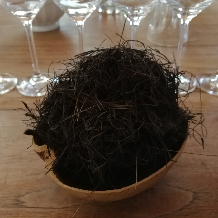 Real Minero Mezcal Tasting Berlin 2018 D