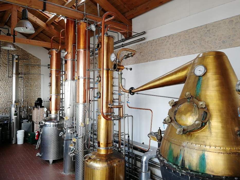 Besuch bei Bottega E