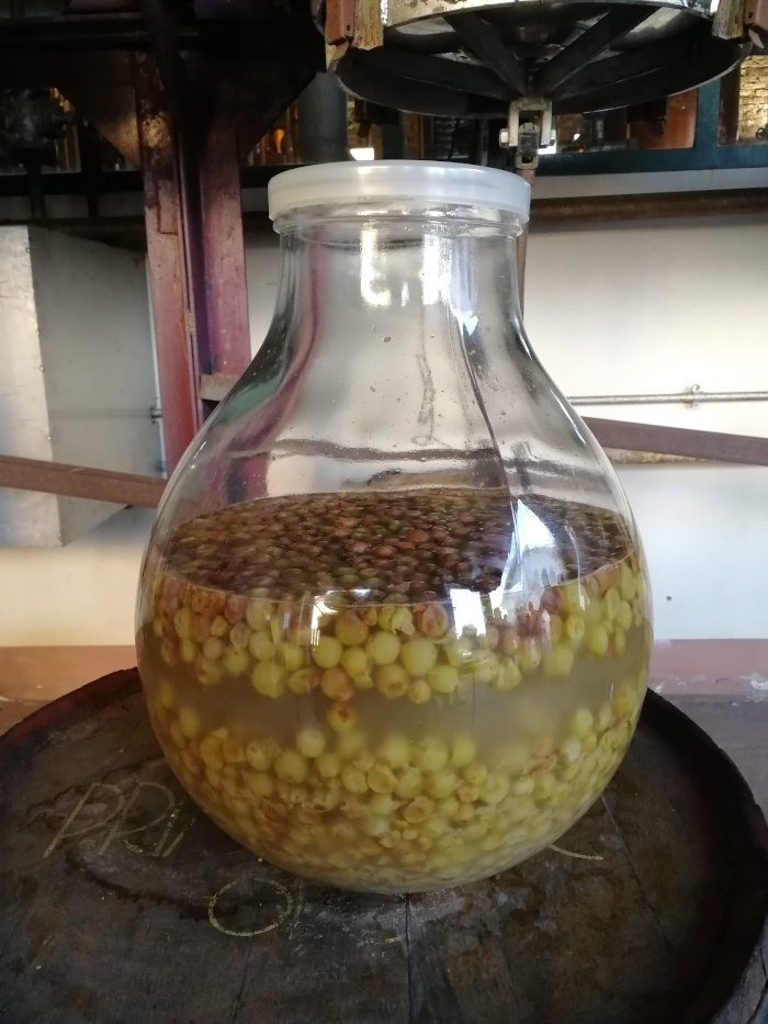 Bonaventura Maschio Destillerie C