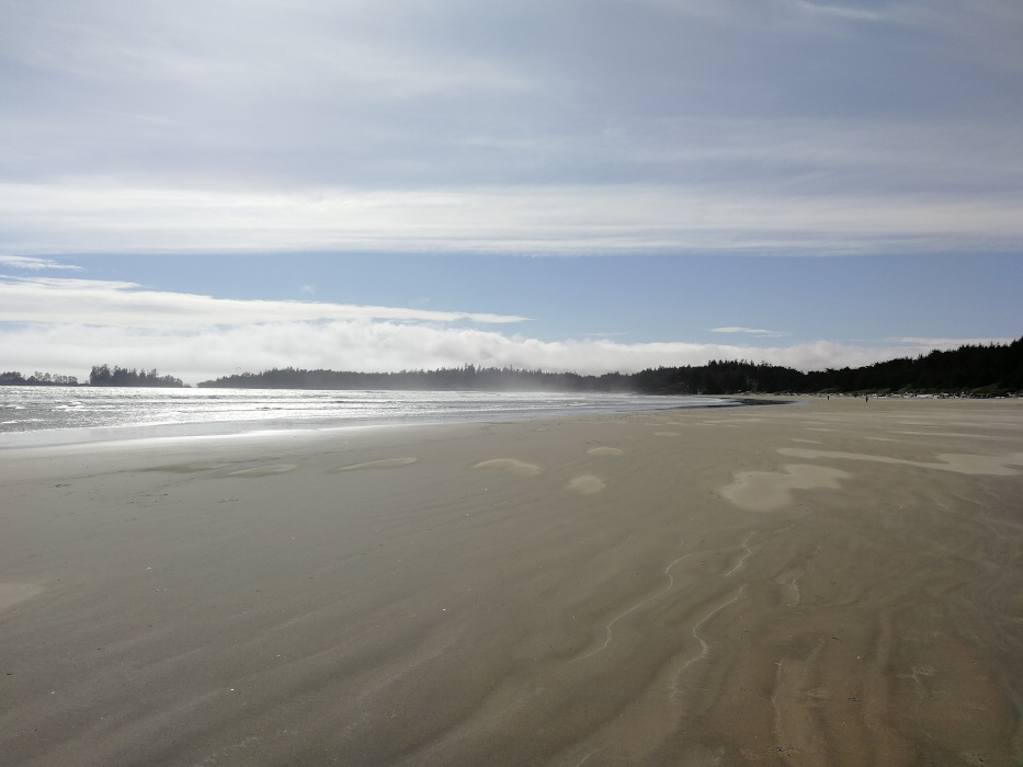 Tofino 2