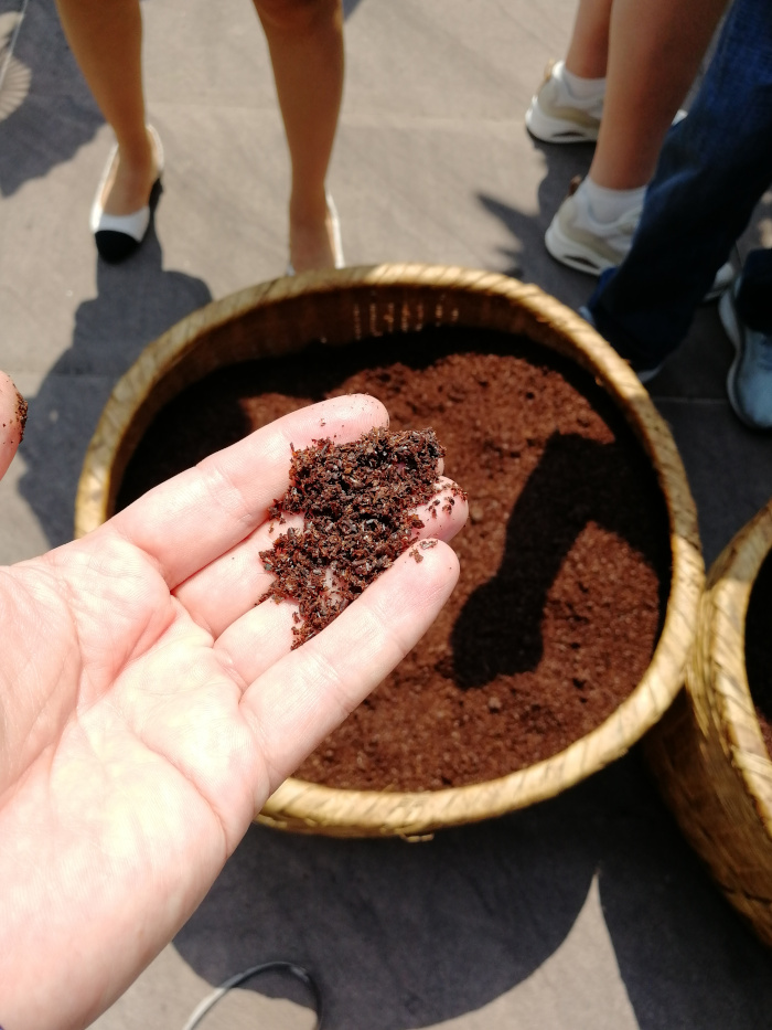 Zeng's Traditioneller Chishui-Sonnenessig 03