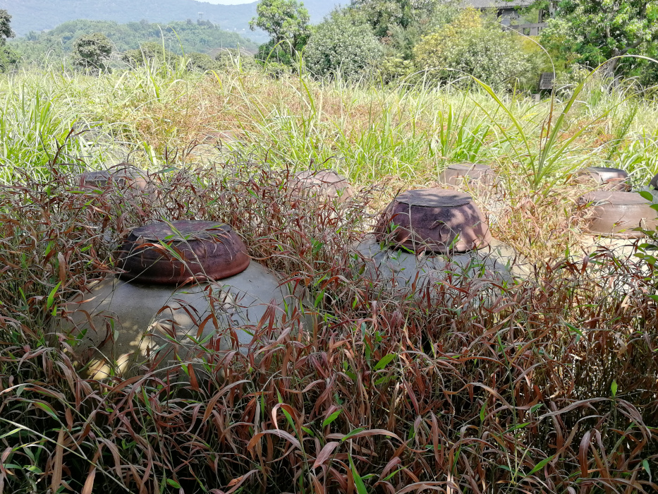 Zeng's Traditioneller Chishui-Sonnenessig 07a