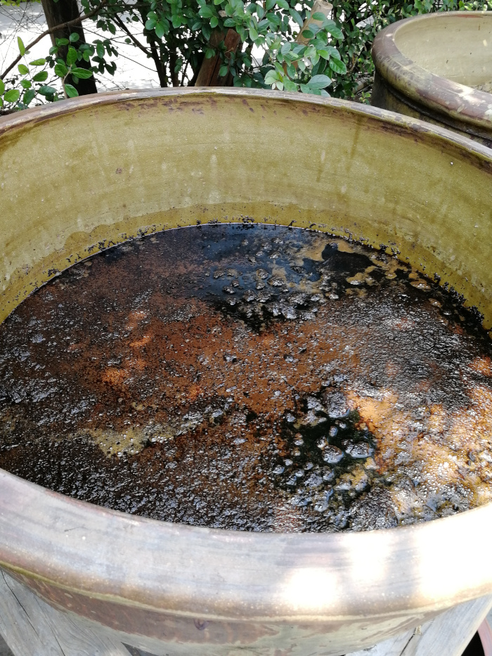 Zeng's Traditioneller Chishui-Sonnenessig 09