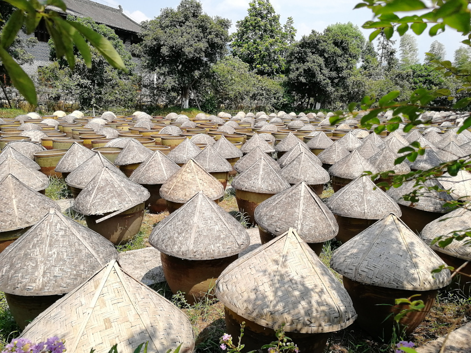 Zeng's Traditioneller Chishui-Sonnenessig 11