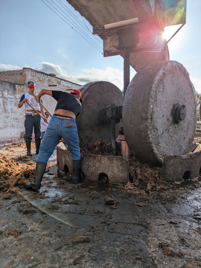 Júrame Agaven Erste Pressung 02