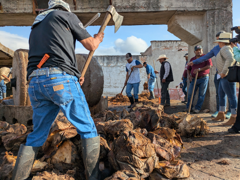 Júrame Agaven Erste Pressung 03