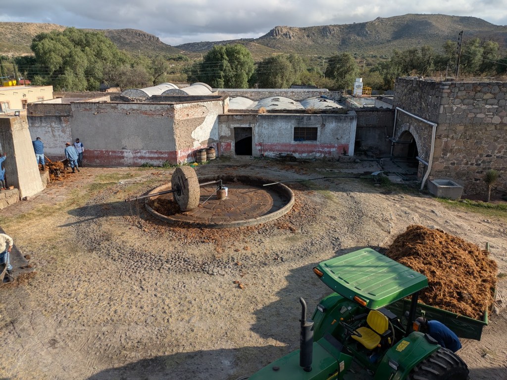 Júrame Agaven Zweite Pressung 01