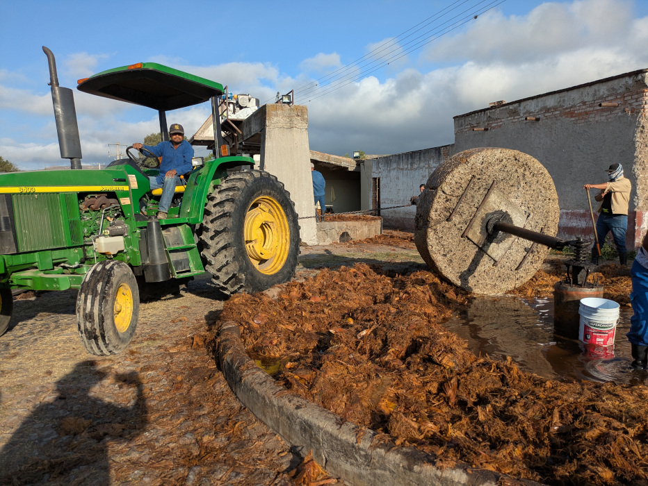 Júrame Agaven Zweite Pressung 03