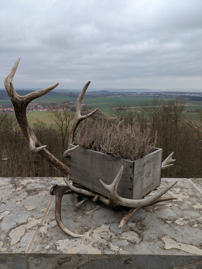 German Whisky Award 2025 13