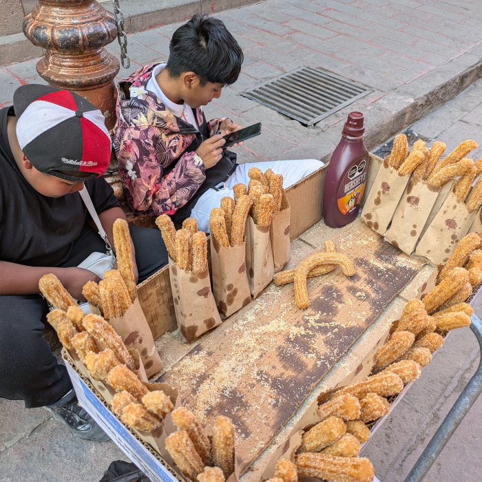 San Luis Potosi Details 2