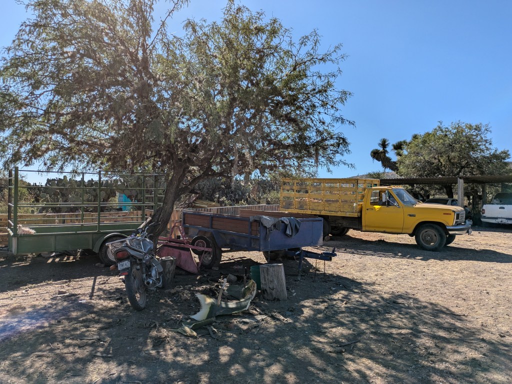 Taberna Navarro San Luis Potosí 05