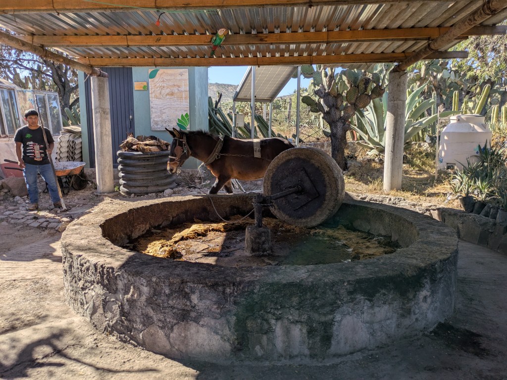 Schritt 1 Tahona und Esel 5