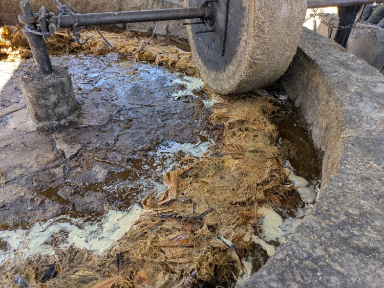 Schritt 2 Tahona und Esel 2